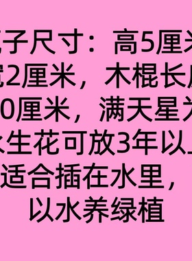 真花干花永生花风铃许愿瓶玻璃瓶挂件墙壁装饰ins风水培植物串瓶