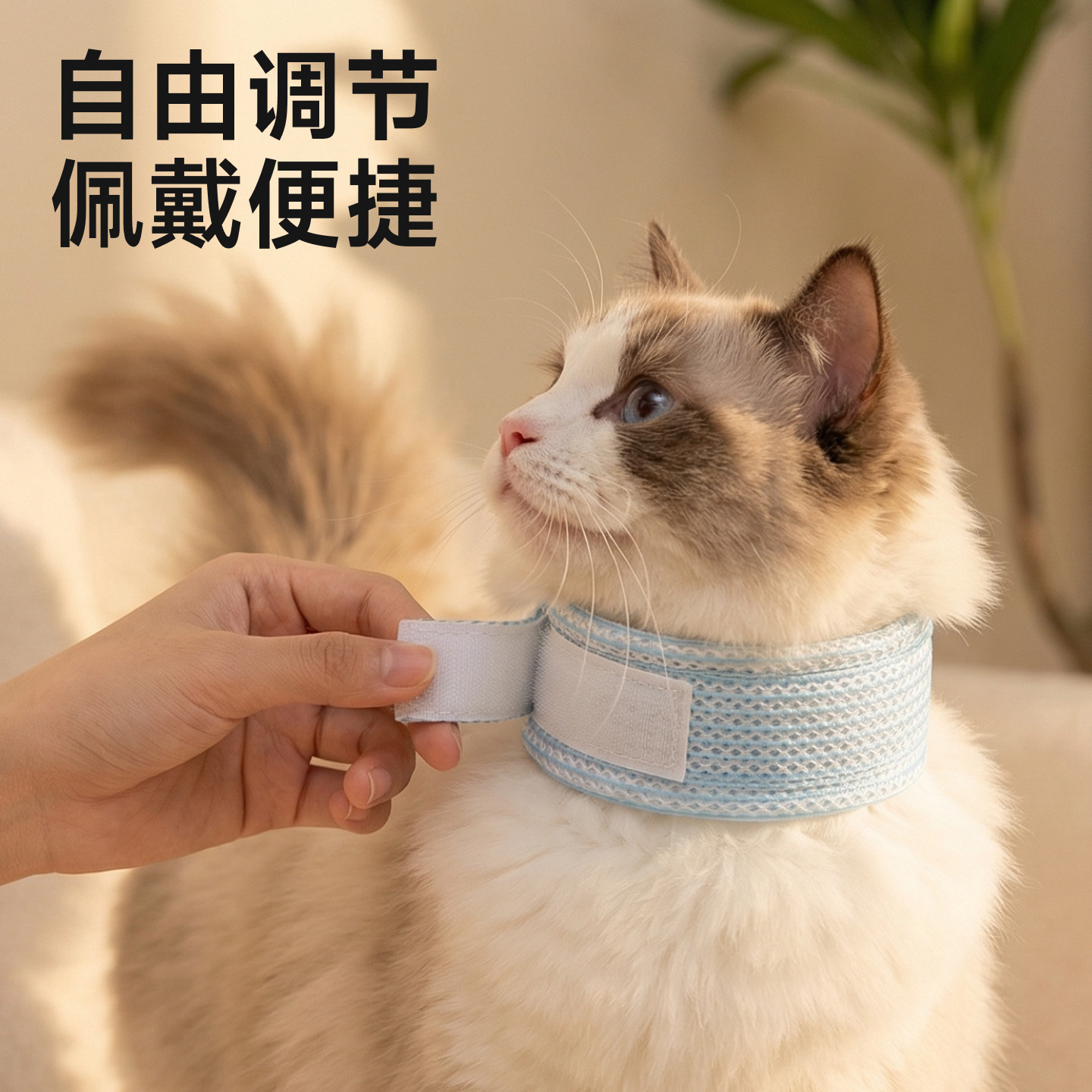 Elizabeth collar dog collar cat collar head cover anti-licking and anti-scratch protective cover cat sterilization and deworming supplies