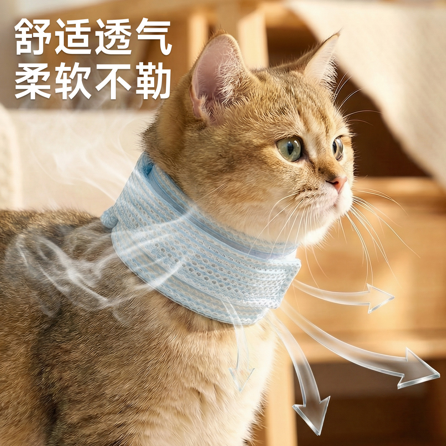 Elizabeth collar dog collar cat collar head cover anti-licking and anti-scratch protective cover cat sterilization and deworming supplies