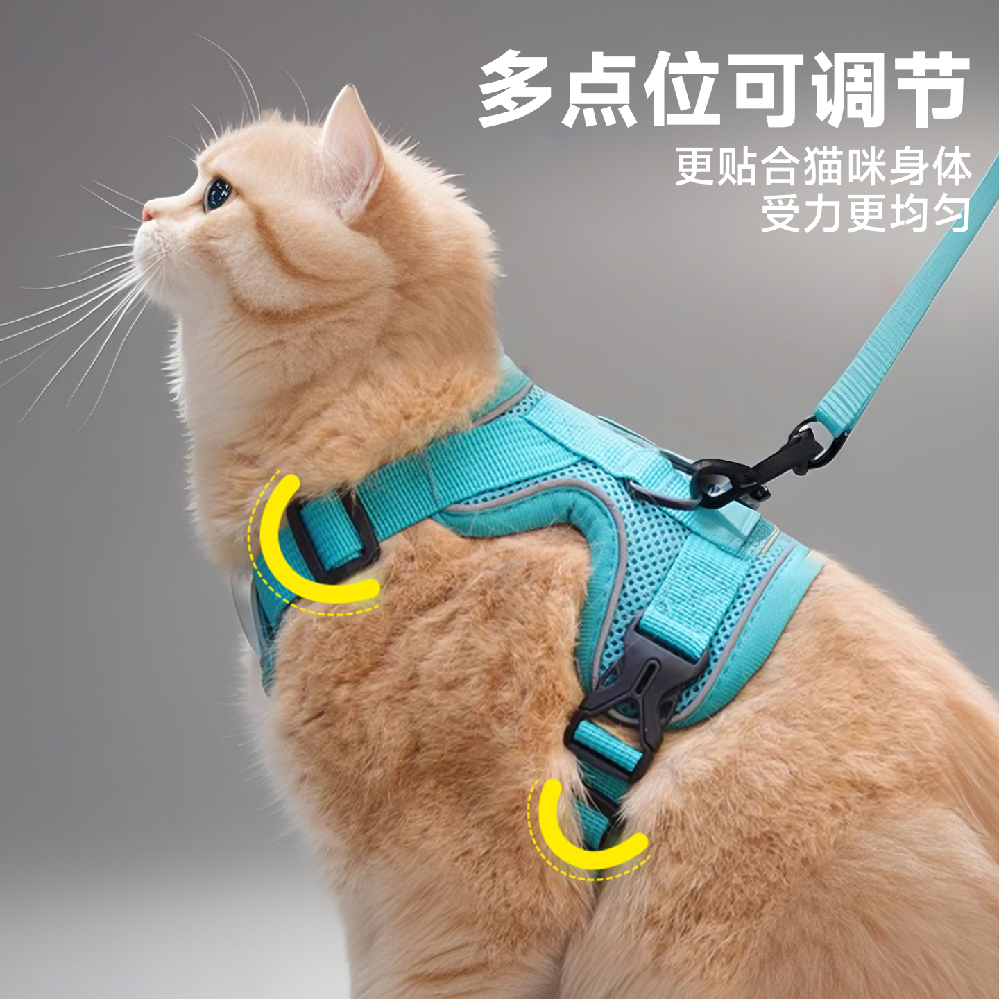 猫咪牵引绳防挣脱外出专用溜猫绳宠物背带链子可调节网红遛猫神器,淘宝优惠券,粉丝福利购,淘宝优惠卷