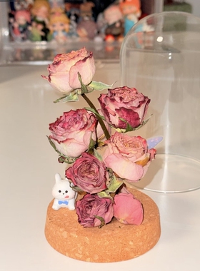 干花插花瓶收纳容器软木塞透明保存瓶情人节礼物摆件展示盒玻璃罩