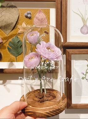 干花保存瓶玻璃罩展示收纳盒