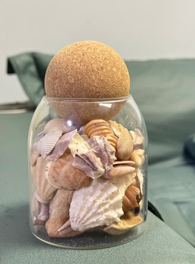 贝壳标本展示盒沙滩海螺海星石头标本收藏透明玻璃瓶装饰纪念摆件