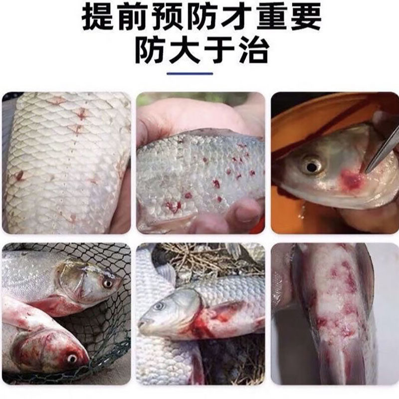 五指峰水产养殖鱼塘立克净驱中华鳋锚头鳋车轮虫指环虫阿维强杀