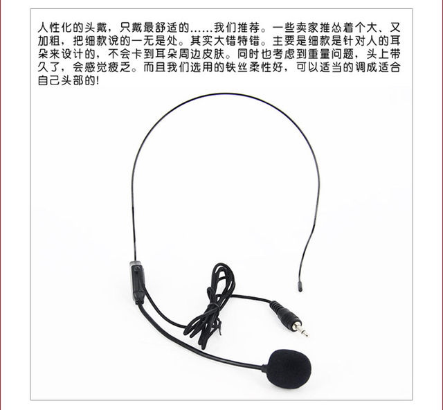 Teacher Teaching Little Bee Amplifier Tour Guide Microphone