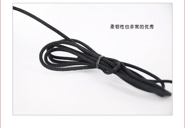 Teacher Teaching Little Bee Amplifier Tour Guide Microphone