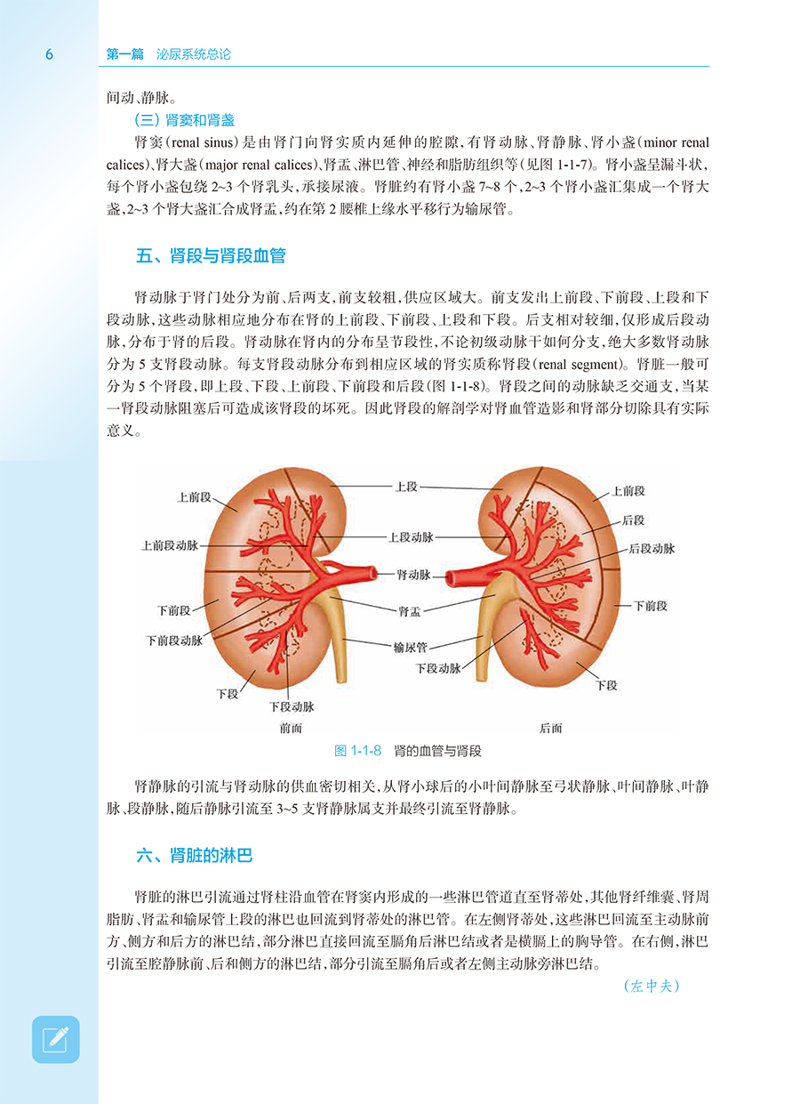 泌尿系统与疾病第2版本科十四五规划教材全国高等学校器官系统融合教材供临床医学及相关专业用陈江华王子明魏强编人民卫生出版社-图3