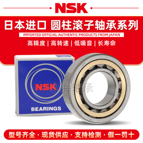 进口NSK日本NF304 305 306 307 308 309 310EW EM C3圆柱滚子轴承 - 图0