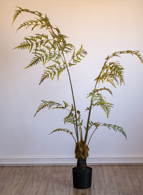 仿真绿植假树仿生植物落地盆栽