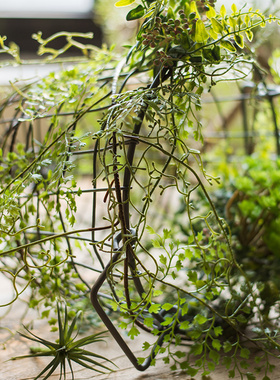 仿真绿植藤蔓室内装饰造景花藤条