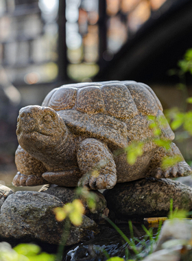 花园户外庭院装饰造景仿石龟摆件