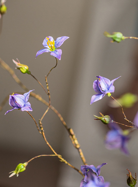 高级感仿真花艺假花摆件客厅餐桌