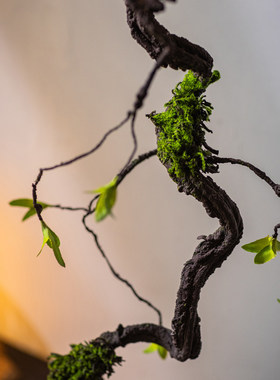 掬涵仿真绿植苔藓树藤室内挂墙藤蔓茶室禅意插花摆设高级感摆件