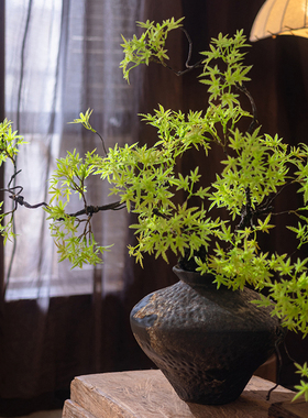 掬涵仿真绿植盆景复古风新中式禅意装饰植物摆件家居客厅茶室造景