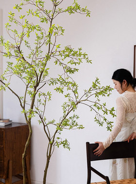 大型仿真绿植杜鹃假树仿生植物
