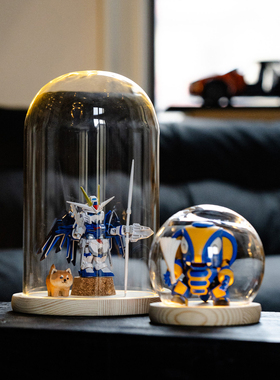 手办展示盒干花玻璃罩标本收纳瓶