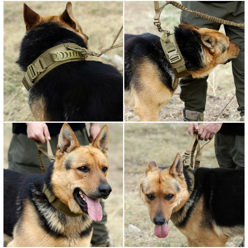 特大型犬狗项圈防爆冲金毛德牧大狗脖套脖圈狗狗牵引绳弹力遛狗绳-图2