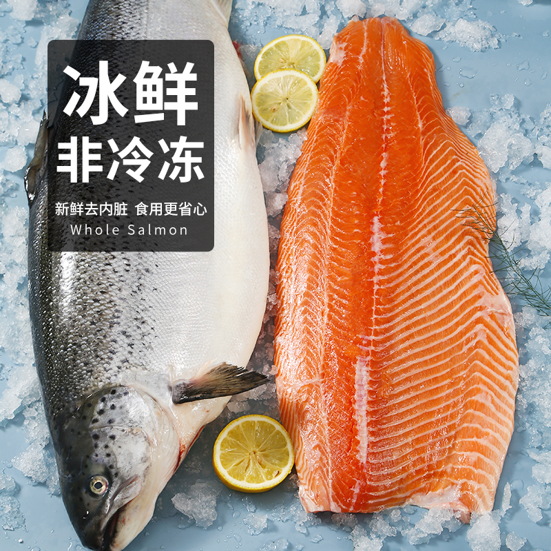 尚致旗舰店冰鲜三文鱼整条刺身礼盒装大西洋鲑即食进口整条中秋新鲜非冷冻0