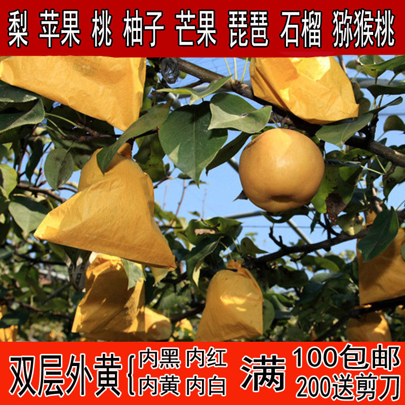 梨子专用套袋苹果桃子枇杷石榴秋月梨黄金梨防水防虫鸟翠冠梨纸袋