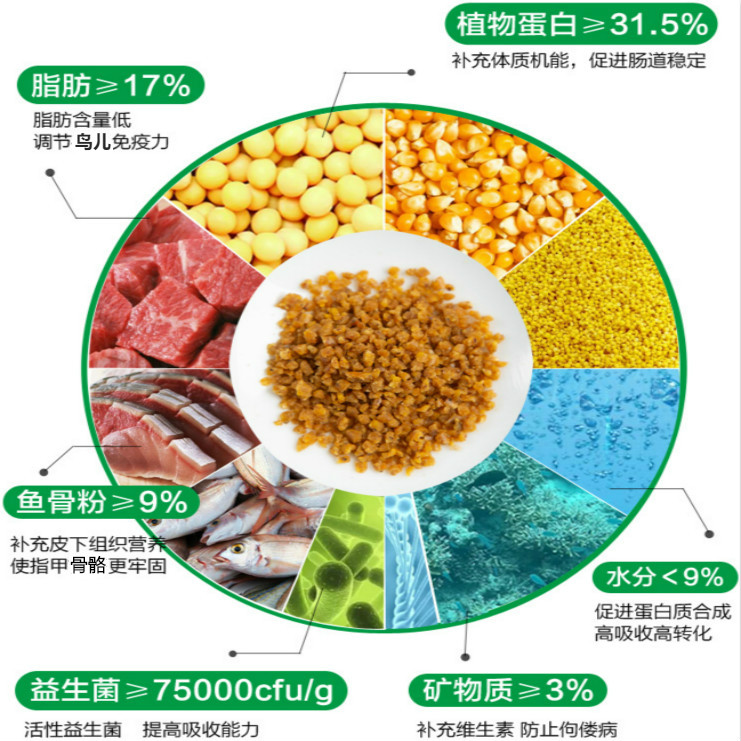 画眉鸟食斗鸟料壮胆提性壮膘打鸟专用比赛亮毛鸟粮营养手工饲料 - 图3