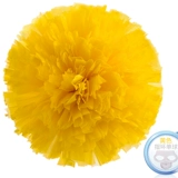 缋死 怖 只 啦 啦 球 运峤 ∶ 蕾舞蹈 是 虻谰 虻谰 虻谰 虻谰