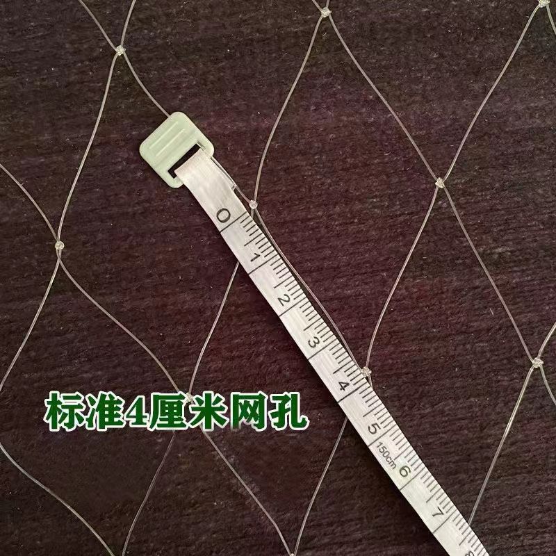 鱼塘用尼龙防鸟网4公分5公分网孔防大鸟天网专用青蛙泥鳅龙虾用网 - 图0