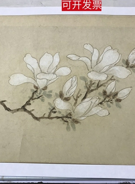 文徵明 白玉兰图卷 画芯行书跋文书法古画真迹高清微喷原大文人画