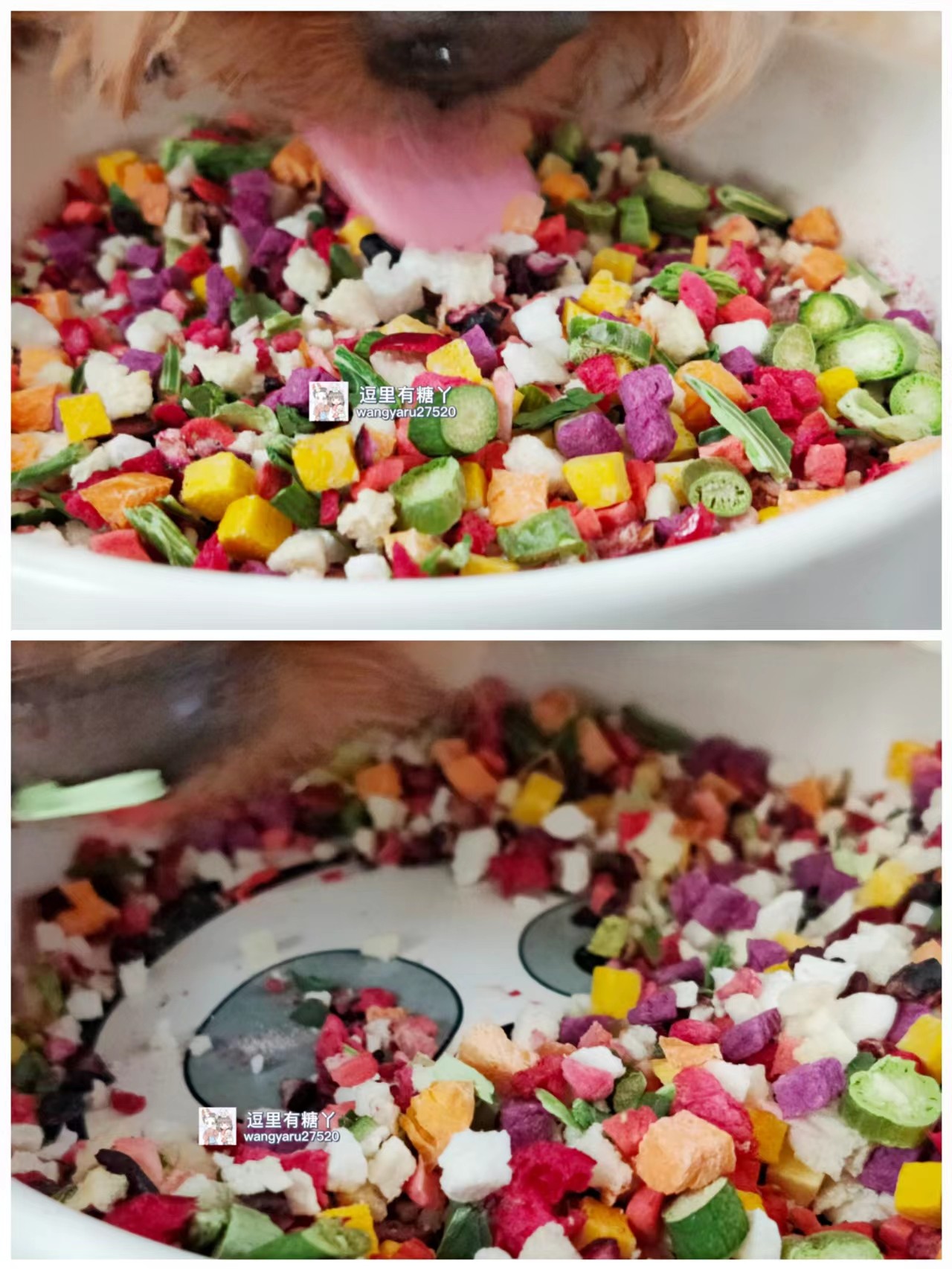 一份包邮无添加无糖冻干果蔬宠物狗狗零食拌粮补充维生素水果蔬菜,淘宝优惠券,粉丝福利购,淘宝优惠卷