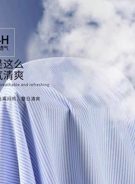 单郎交通银行假领子尖领包邮