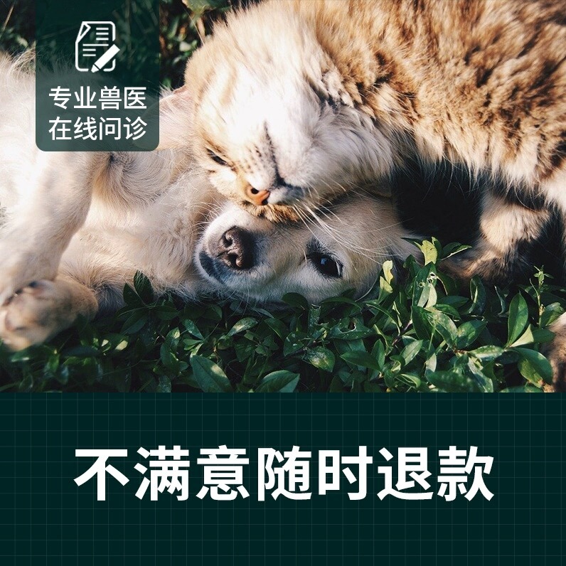 宠物医生在线问诊24小时兽医咨询宠物医院在线看病猫猫狗狗专科 - 图2