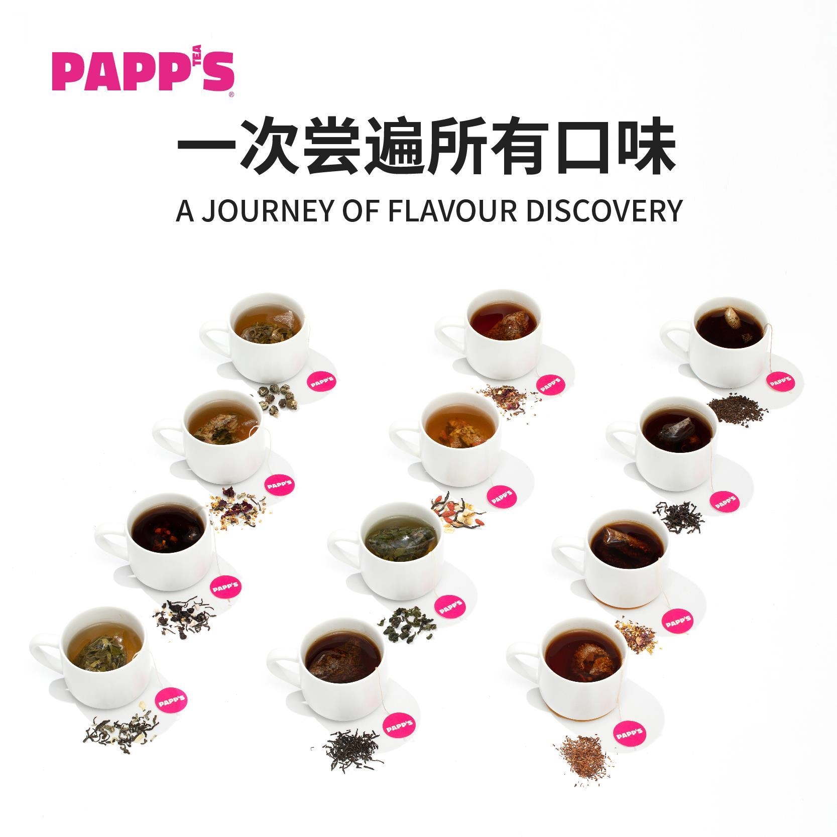 新品PAPPS派帕斯多口味冷泡冲泡茶包优质连锁餐饮酒店三角茶包50 - 图0