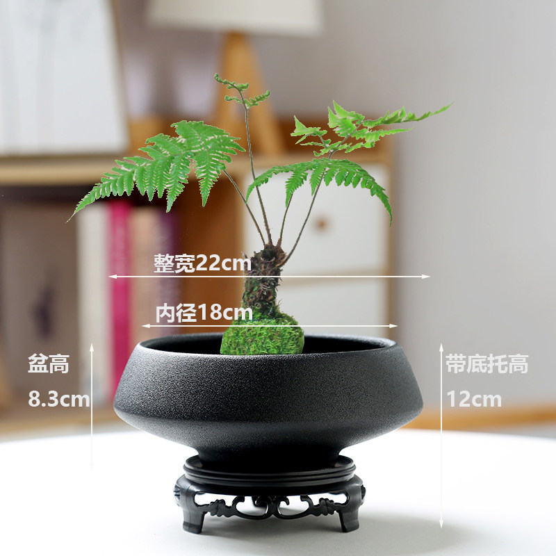 佛手柑托盘陶瓷花盆客厅中式高脚摆盘苔藓球简约容器花瓶水培盆,淘宝优惠券,粉丝福利购,淘宝优惠卷