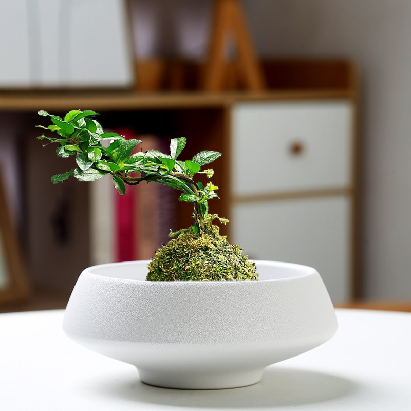 【新客立减】人气苔藓球花盆陶瓷中式亚光桌面摆件水培米竹菖蒲水,淘宝优惠券,粉丝福利购,淘宝优惠卷