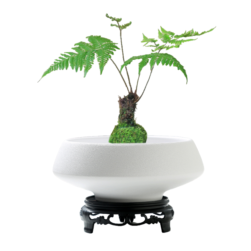 【新客立减】人气苔藓球花盆陶瓷中式亚光桌面摆件水培米竹菖蒲水,淘宝优惠券,粉丝福利购,淘宝优惠卷
