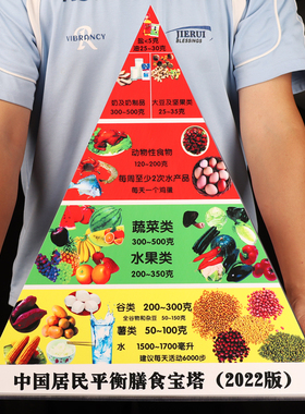 【豫膳坊】2022新版膳食宝塔模型
