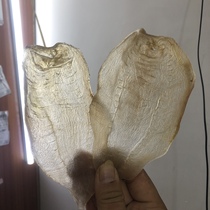 The mother series of the foot and dry soil