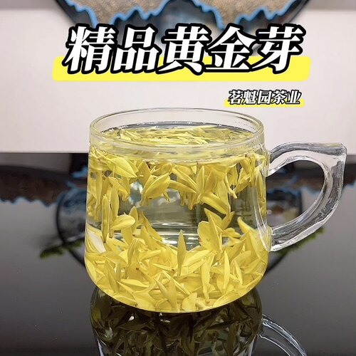 2026新茶黄金芽明前特级白茶绿茶春茶安吉黄金芽茶叶瓷罐礼盒装 - 图1