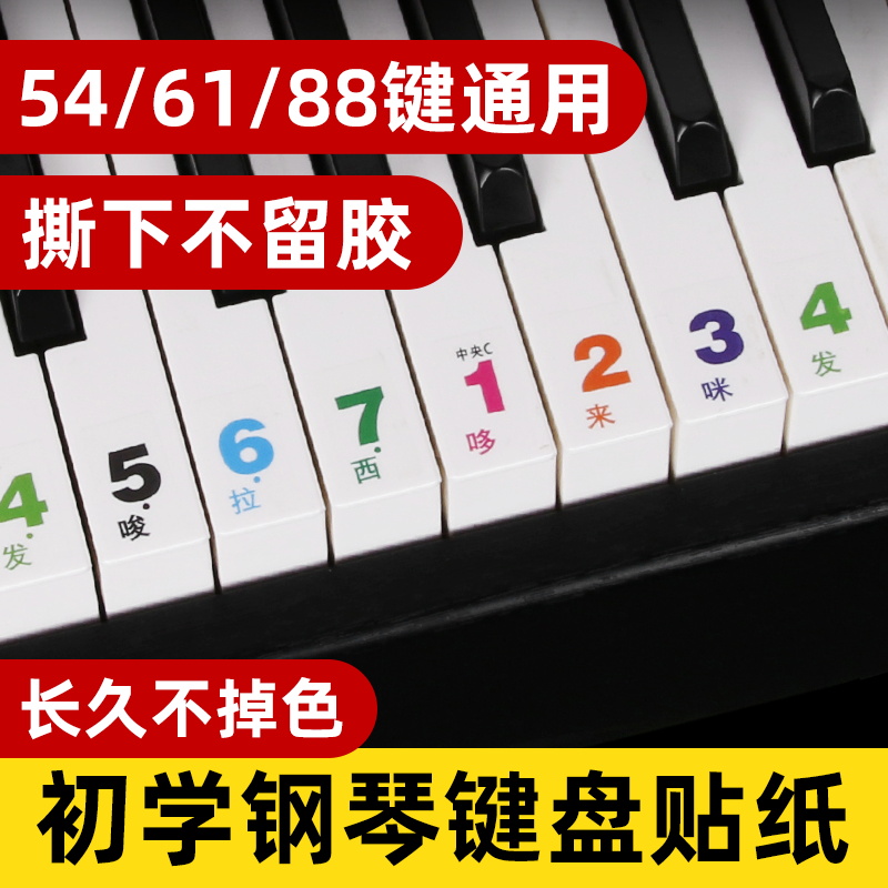 88键61键54键儿童初学入门成人钢琴电子琴简谱音调键盘透明贴纸 - 图0