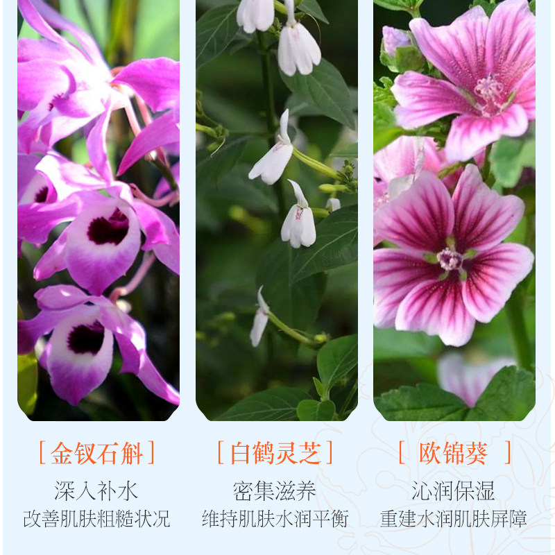 百雀羚气韵女提亮肤色的防晒隔离霜 气韵化妆品防晒霜