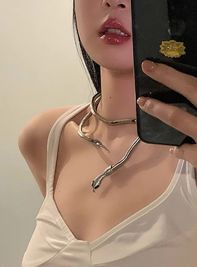 Willa｜缠绕蛇形黑暗土酷开口随意造型蛇形夸张欧美设计感项圈链