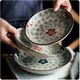 Japanese-style underglaze creative western food rice plate