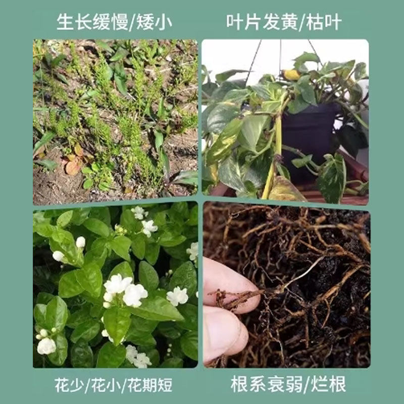 植物营养棒缓释肥植物营养棒养花通用型绿植营养棒植物通用营养棒,淘宝优惠券,粉丝福利购,淘宝优惠卷
