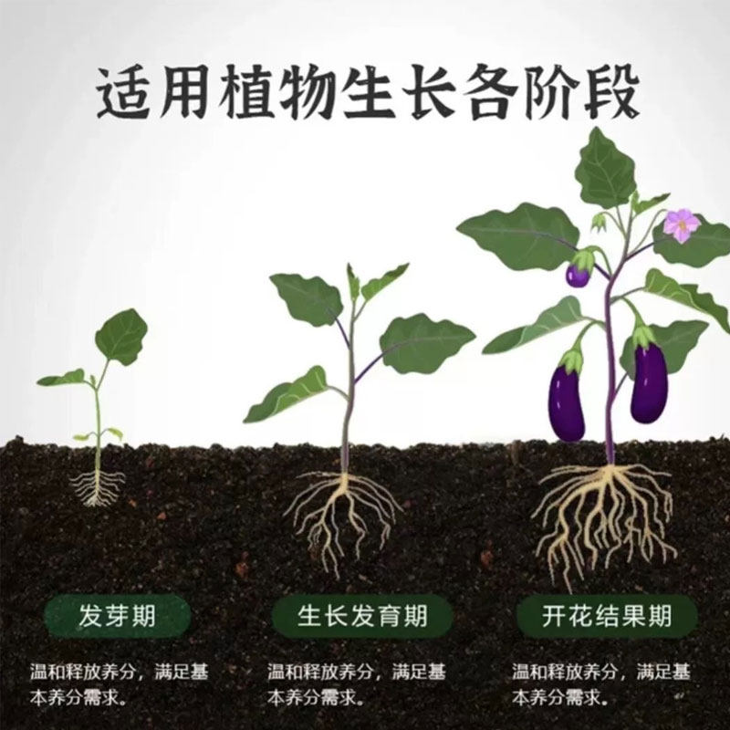 植物营养棒缓释肥植物营养棒养花通用型绿植营养棒植物通用营养棒,淘宝优惠券,粉丝福利购,淘宝优惠卷