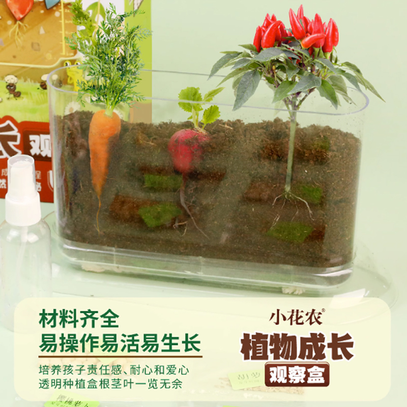 小花农儿童种植物小盆栽小农场蔬菜花卉种子发芽根系生长观察盒窗 - 图0