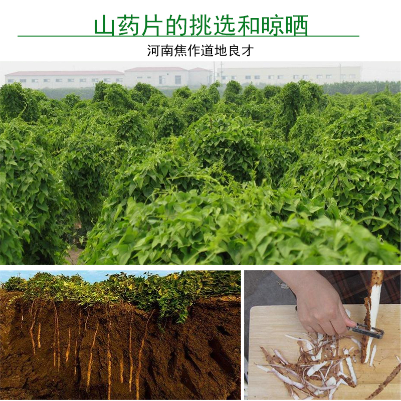 向辉山药粉250g 正品旗舰店河南焦作淮山药铁棍山药粉怀山药粉