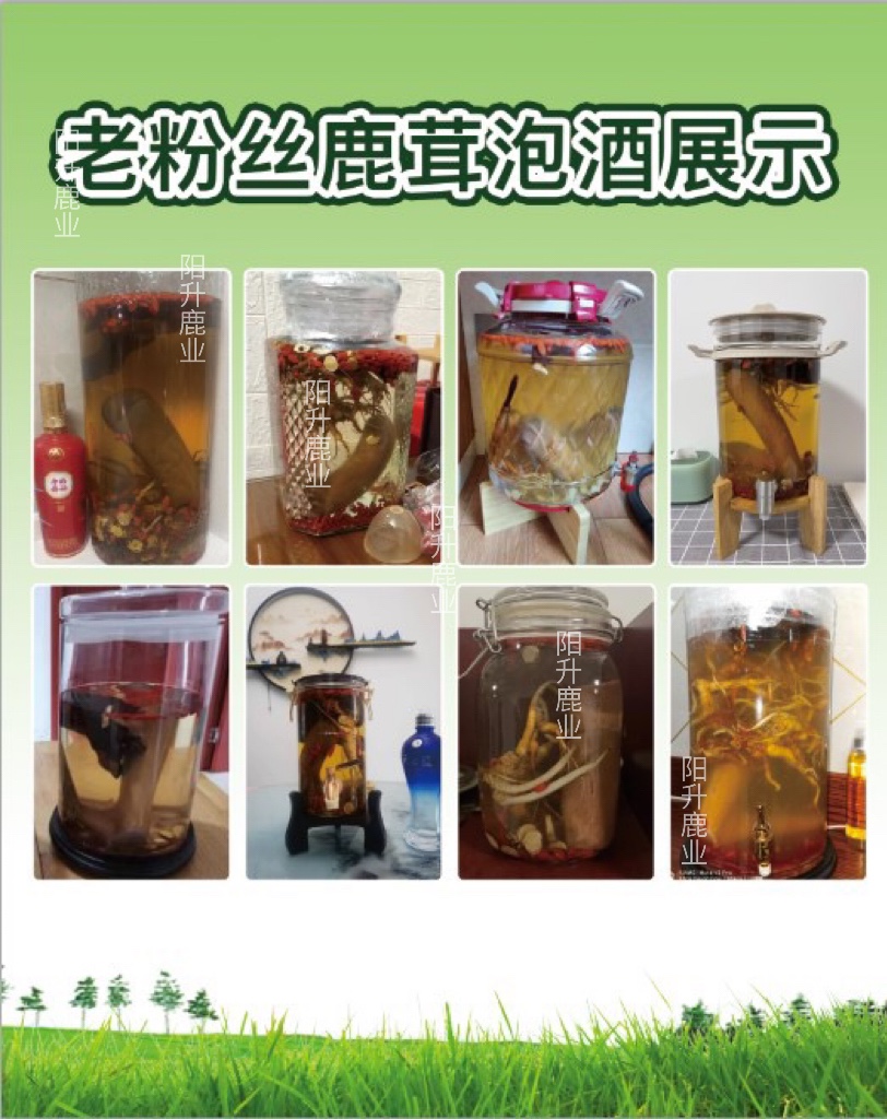 珍鹿佰集梅花鹿新鲜鹿茸可切片整根正品正宗中药材人参煲汤滋补品 - 图3