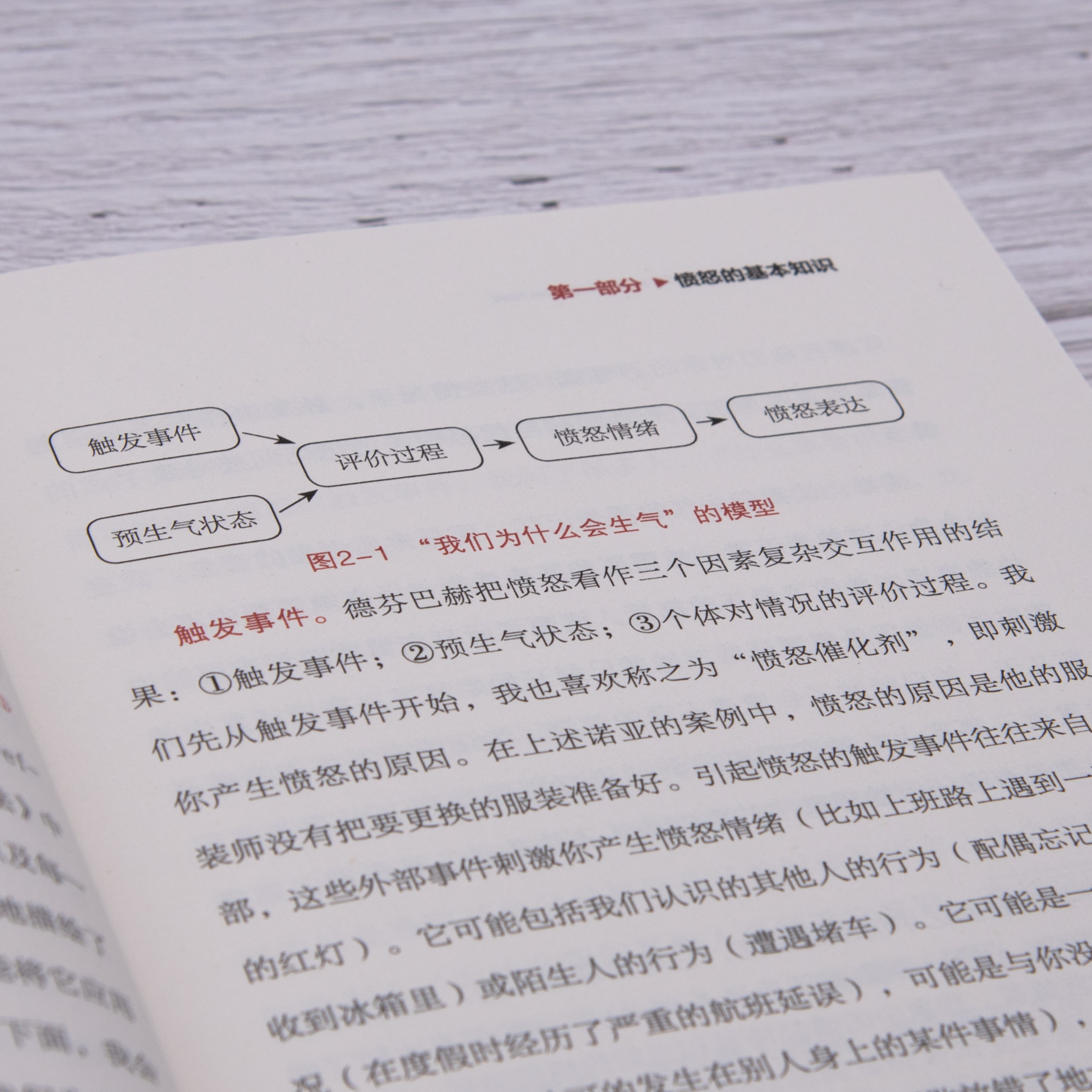 为什么我们会生气 不被情绪掌控而是学会驾驭情绪 瑞安马丁著 情绪管控学会管理情绪控制情绪学会如何不乱发脾气管理愤怒 - 图2