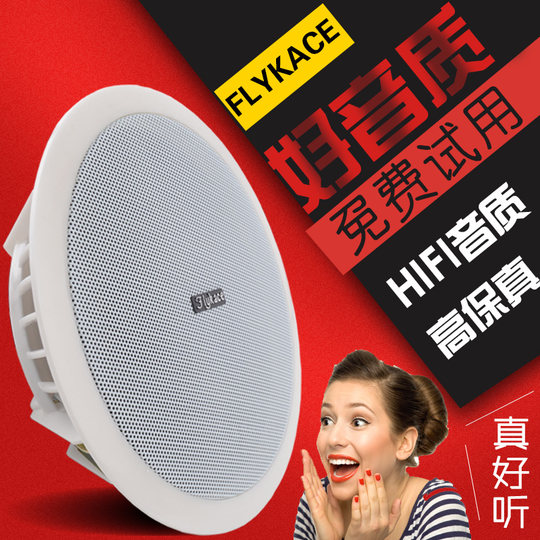 Altavoces de techo Flykace megafonía integrada