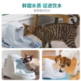 Женщина-американский баллон-американский питомец Pet Dog Cat Автоматическая циркулирующая водопроводная дозаторская дозаторская водонагреватель кошка выпивает водный фонтан