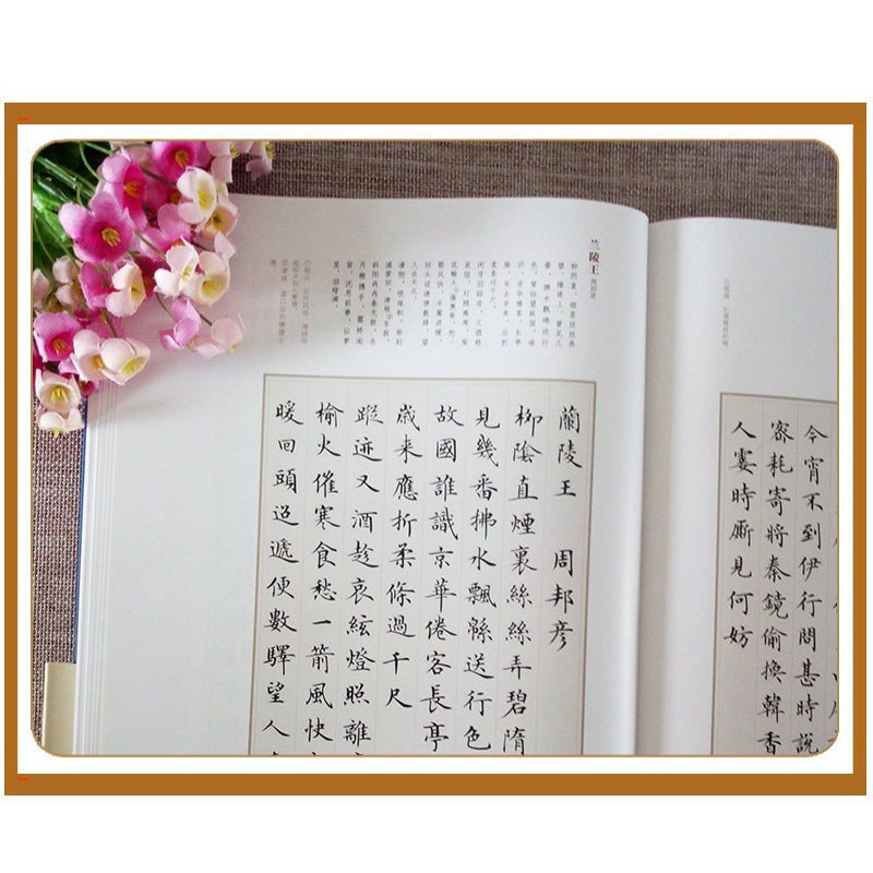 【正版现货】共2本卢中南小楷唐诗三百首宋词三百首成人学生楷书技法字帖硬笔毛笔书法爱好者华夏万卷练字帖古诗词楷书入门教程